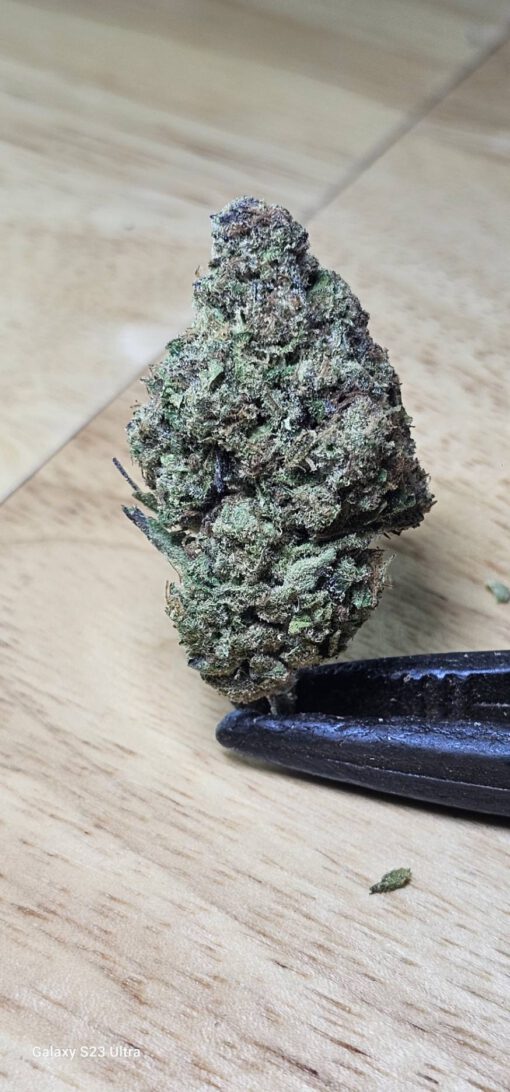 DOSIDOS
