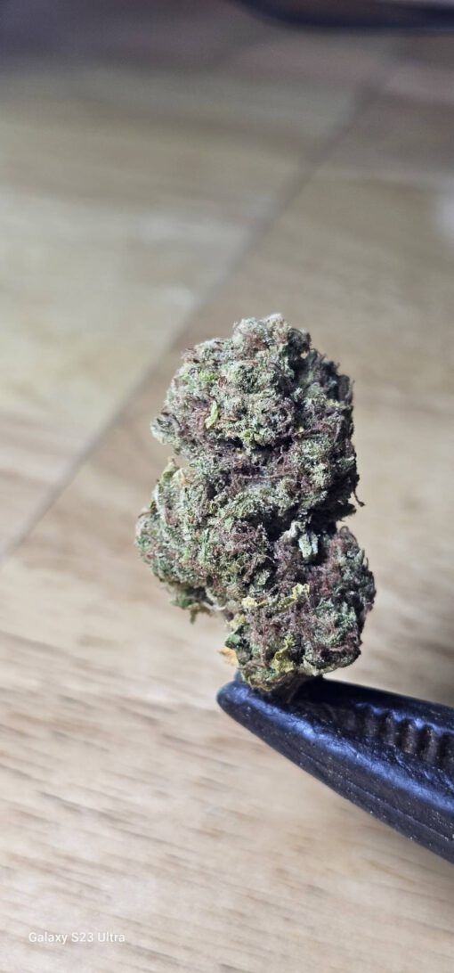PINEAPPLE SHUNK