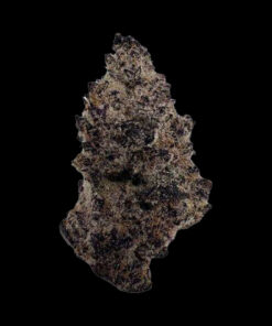 SUPER BUFF CHERRY: Elevate Your Experience with This Potent Hybrid