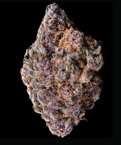 TROPICANNA CHERRY