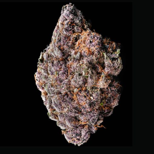 TROPICANNA CHERRY